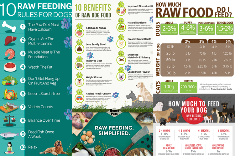 Diet Raw Food Dog kanggo Wiwitan