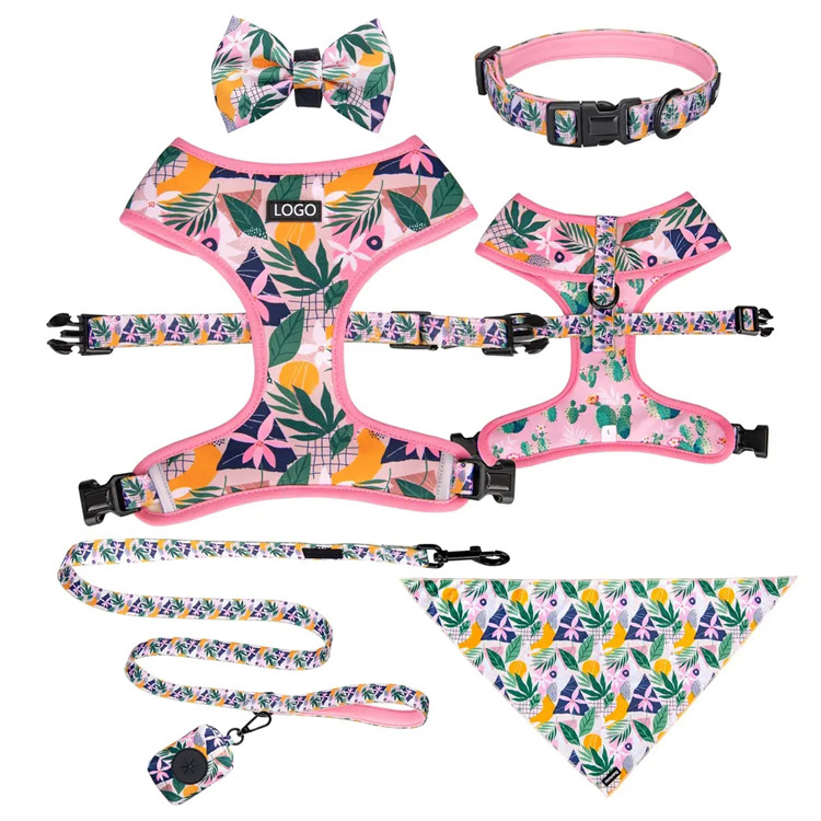 Luwes Ora Narik Dog Harness Collar lan Tali Set