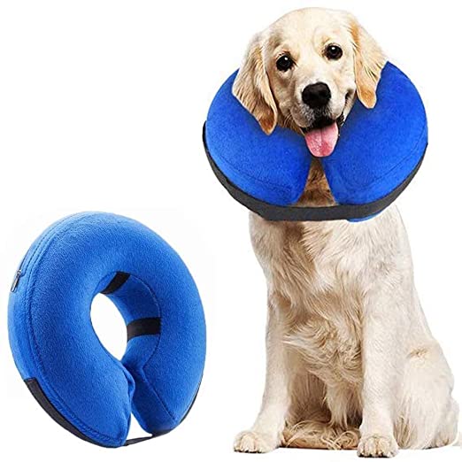 Kerah Recovery Dog Protective Dog Protective Dog sing bisa disetel