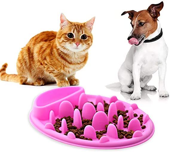 Anti Chocking Silikon Pet Dog Dog Fun Slow Feeder Kucing Bowl