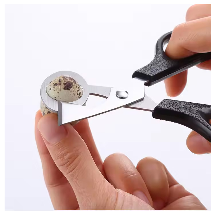 Alat pawon murah pawon quail scissor pemotong clipper