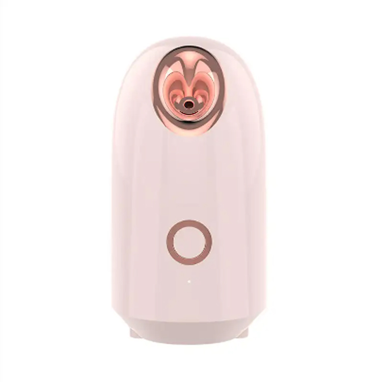 Pasuryan Piranti Kukus Nano Steamer Fisik Profesional