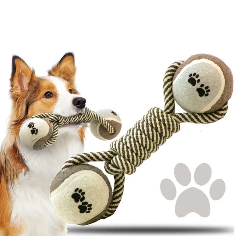 Simpul lan ball ball chewing chewing molar interaktif dolanan