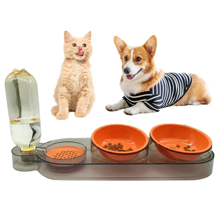 Profesional Desain Daging Cat Profesional Feed Bowl Feeder