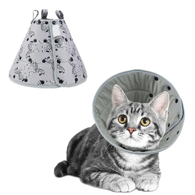 Pamulihan Kucing Kucing Petual