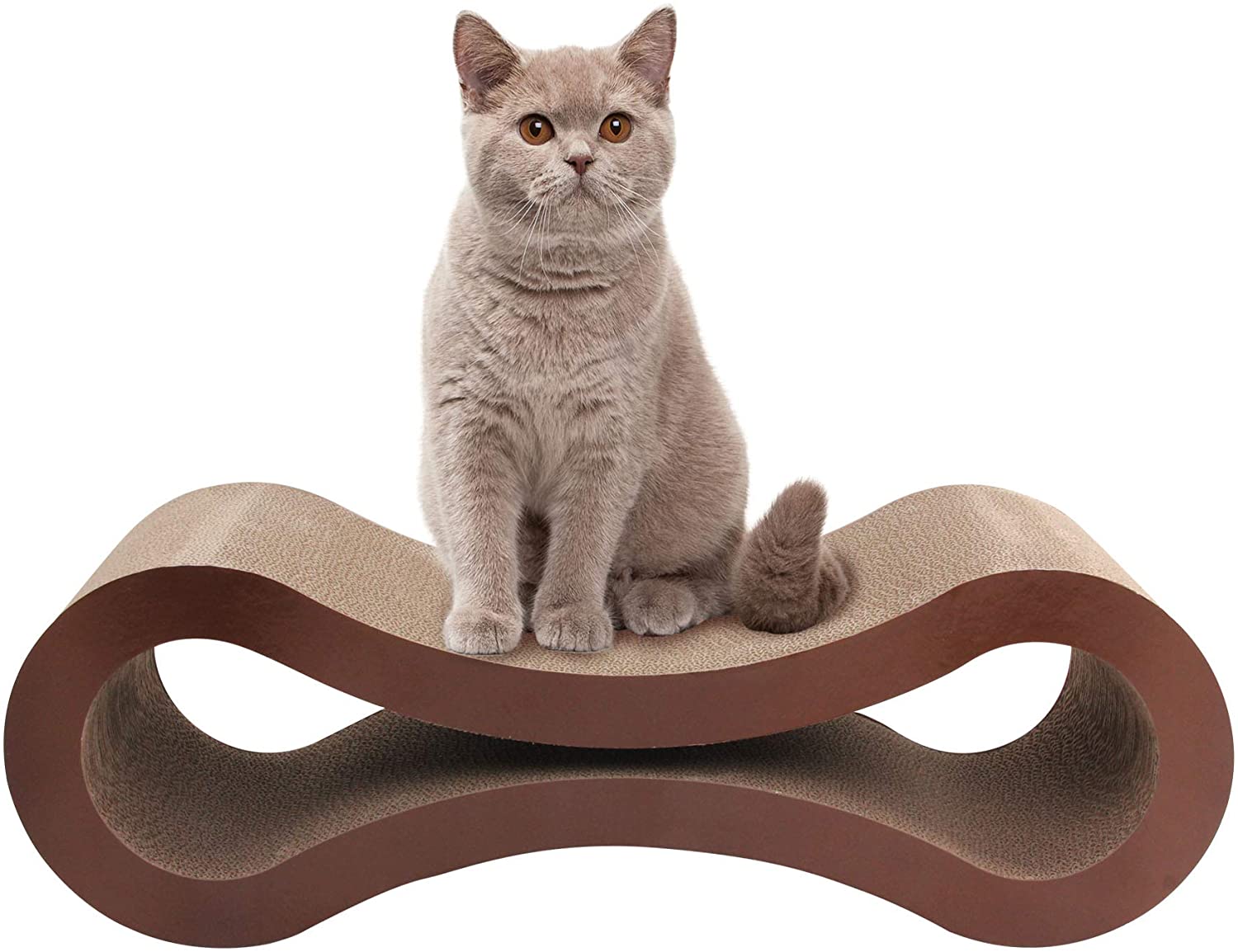 Lounge Catnip Kardus Superior Scratcher Lounge