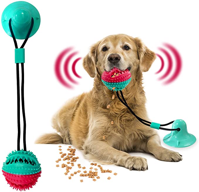 Dolanan Anjing Tug of War Suction Cup